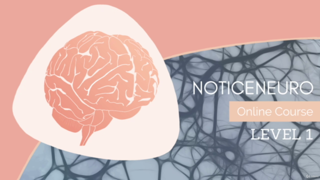 NoticeNeuro's Intro to Neuroscience - Screenshot_02
