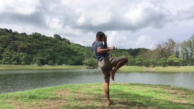 Knee basics in ancient muay thai martial art of Thailand - Screenshot_02