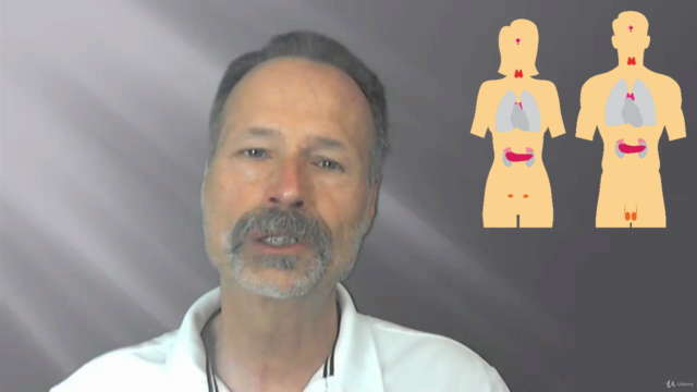 Naturopathie cours n° 11 - Le système endocrinien - Screenshot_02