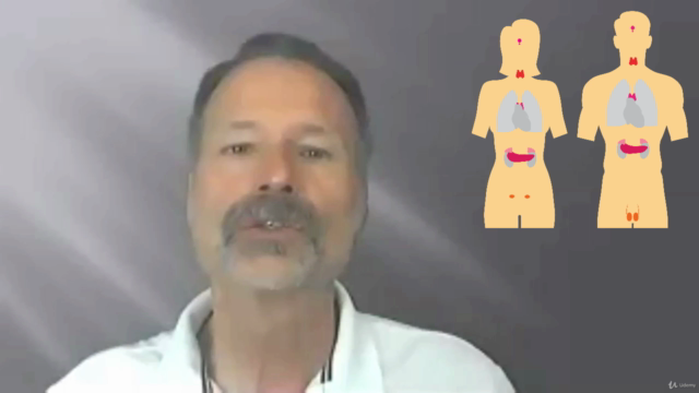 Naturopathie cours n° 11 - Le système endocrinien - Screenshot_03