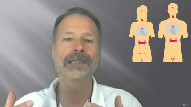 Naturopathie cours n° 11 - Le système endocrinien - Screenshot_04