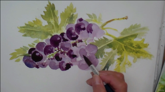 STRESS Buster. Paint some GRAPES, 3 colours, lots of water. - Screenshot_03