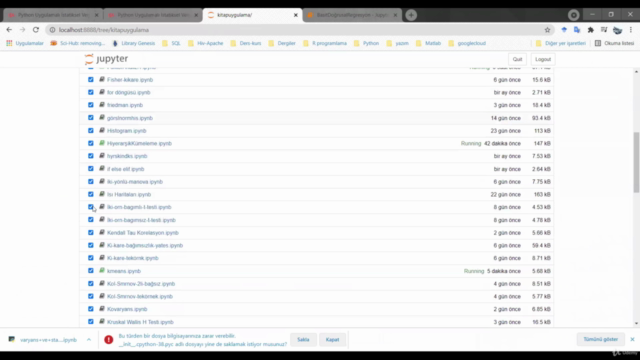 Python Uygulamalı Veri Bilimi ve İstatistik - Screenshot_03