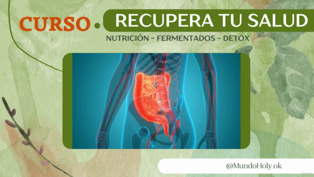 Recupera tu Salud - Detox + Fermentados + Nutrición - Screenshot_01