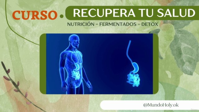 Recupera tu Salud - Detox + Fermentados + Nutrición - Screenshot_03