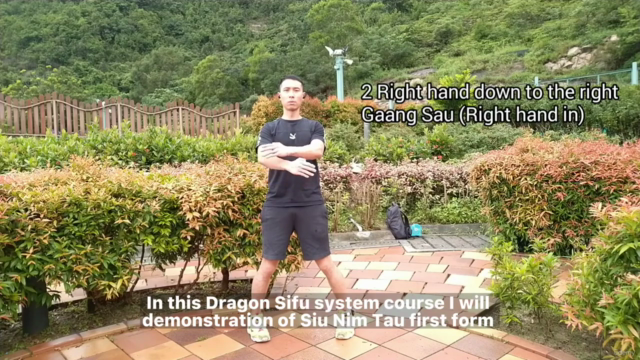 Wing Chun Sil Lim Tao (Siu Nim Tau) First Form Advanced - Screenshot_01