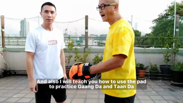 Wing Chun Sil Lim Tao (Siu Nim Tau) First Form Advanced - Screenshot_04