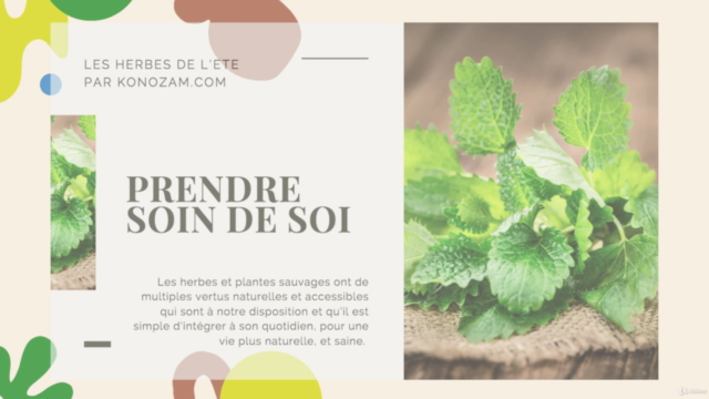 MEDITATIONS & YOGA D'ÉTÉ – Screenshot 3