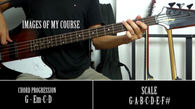 Bass Lessons For Beginners Musicians - Screenshot_04