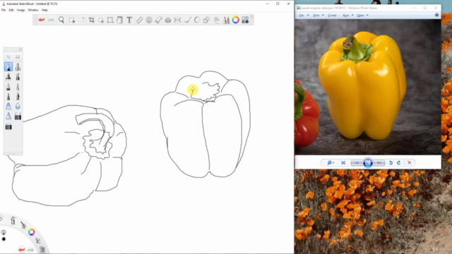 Autodesk Sketchbook for creating Still life Digital Painting - Screenshot_02