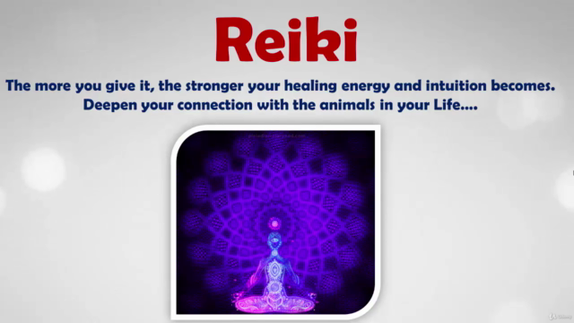 ANIMAL REIKI: Animal Reiki Energy Healing Certification! - Screenshot_04