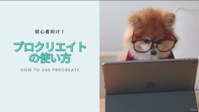 【超初心者向け】Procreate：IPadアプリ「プロクリエイト」の使い方講座 - Screenshot_02