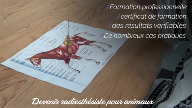 La pratique du pendule autour de l'animal - Screenshot_02