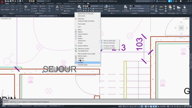 AutoCAD 2021 – Perfectionnement - Screenshot_04