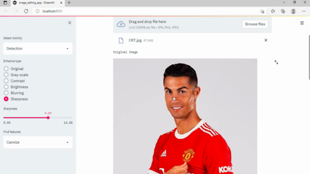 Build a Web App With Python and OpenCv : Image Editing App - Screenshot_04