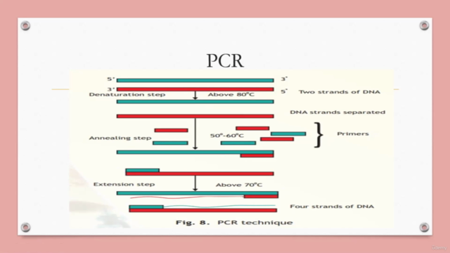 Detailed polymerase chain reaction concepts - Screenshot_02