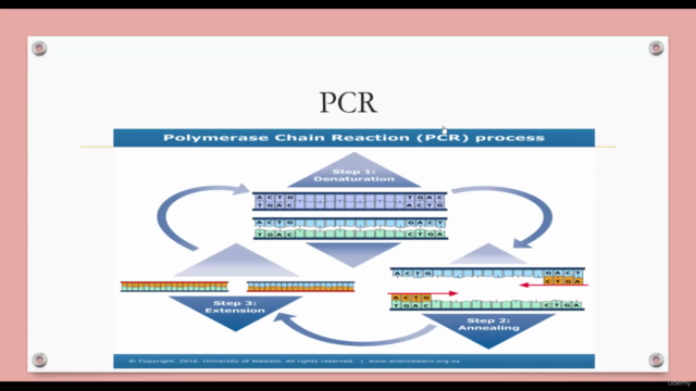 Detailed polymerase chain reaction concepts - Screenshot_03