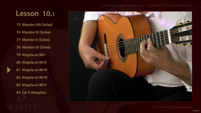 Learn Flamenco Guitar - Screenshot_04