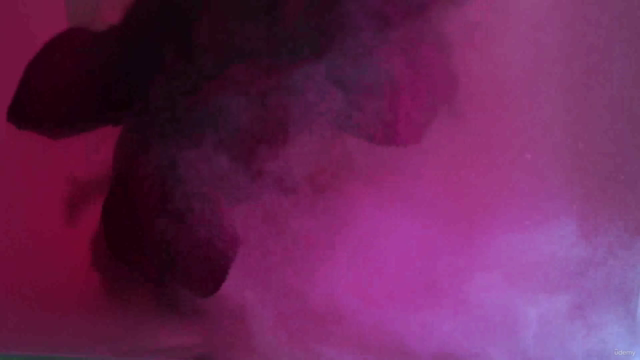Fotografía Pictórica con flores: Experimenta con el color - Screenshot_02