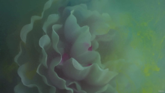 Fotografía Pictórica con flores: Experimenta con el color - Screenshot_04