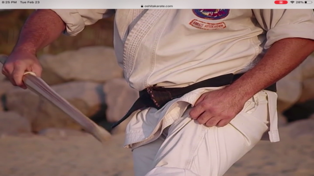 Dissect the Dissection of Isshinryu Karate:  Kicks Bunkai - Screenshot_01