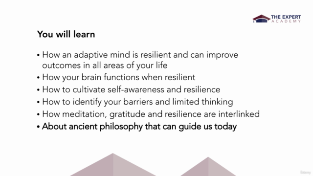 Build Resilience With An Adaptive Mindset - Screenshot_03