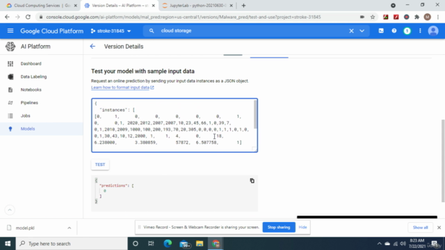 Deploy machine learning models on Google Cloud AI Platform - Screenshot_02