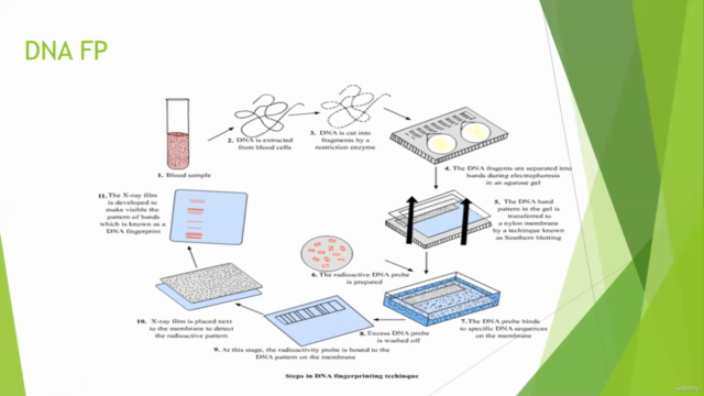 DNA Finger Printing - DNA Ligation - Plasmid isolation - Screenshot_02