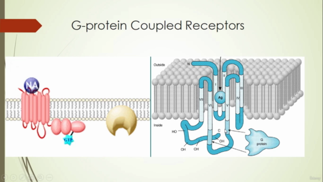 Introduction to Receptor - Screenshot_02