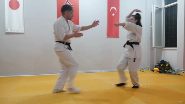 Learn Aikido from Scratch-Beginner /Başlangıç Seviye Aikido - Screenshot_01