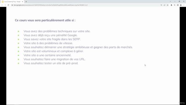 Auditez votre site avec Screaming Frog : le Guide Complet - Screenshot_02