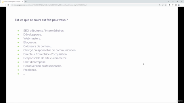 Auditez votre site avec Screaming Frog : le Guide Complet - Screenshot_04