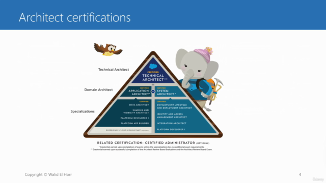 Salesforce Data Architect Course - Screenshot_01