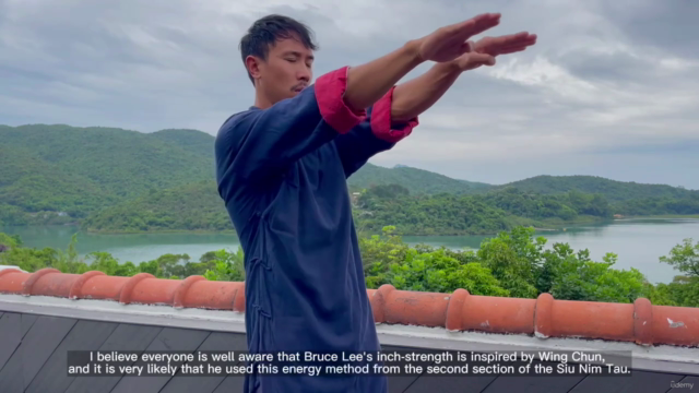 Wing Chun Kung Fu Masters Course Dragon Sifu - Martial Arts - Screenshot_04