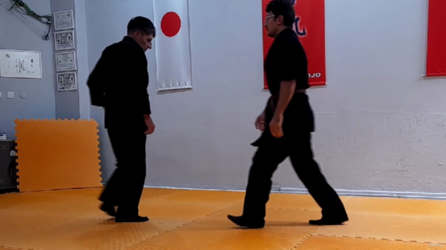 Learn Aikido From Intermediate Level/ Orta Seviye - Screenshot_01