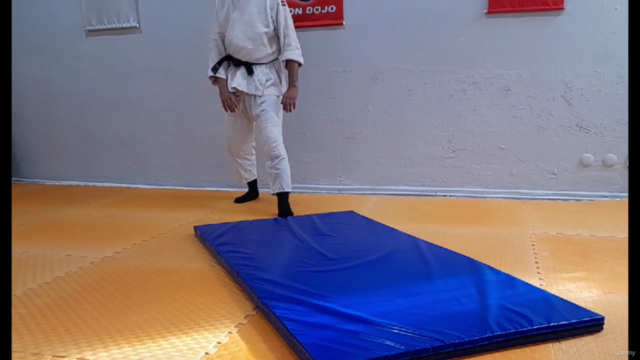 Learn Aikido From Intermediate Level/ Orta Seviye - Screenshot_02