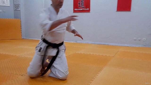 Learn Aikido From Intermediate Level/ Orta Seviye - Screenshot_03