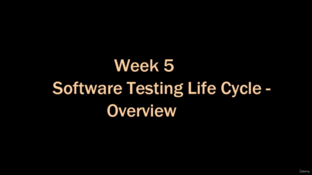 Software Development Life Cycle - Screenshot_03