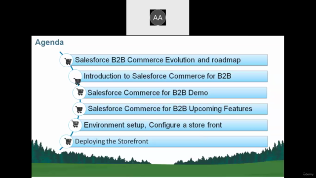 Salesforce B2B Commerce on lightning (with Hands-on exp.) - Screenshot_01