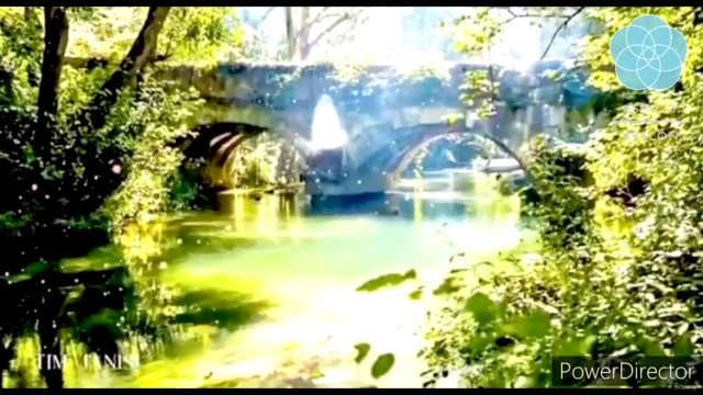 Sanación Telúrica Ancestral de Avalon Celtic Reiki Nivel II - Screenshot_03