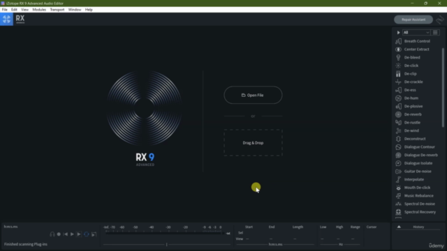 iZotope RX 9: From 0 to Hero - Screenshot_03