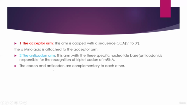 RNA STRUCTURE DETAILED CONCEPT - Screenshot_02