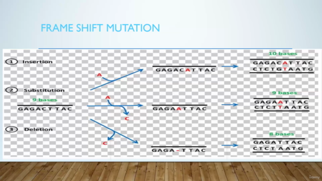 DNA Damage concepts - Screenshot_02