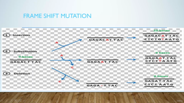 DNA Damage concepts - Screenshot_04