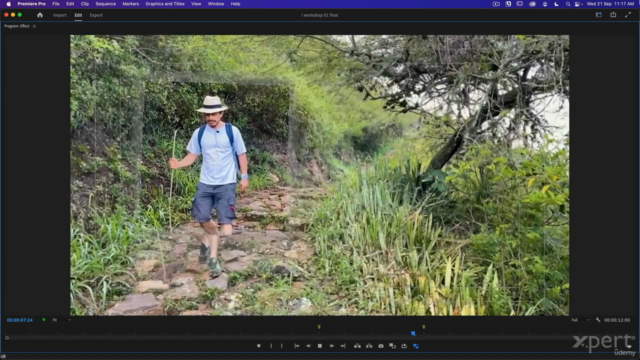 Adobe Premiere Pro - Máster: De Básico a Profesional. - Screenshot_03