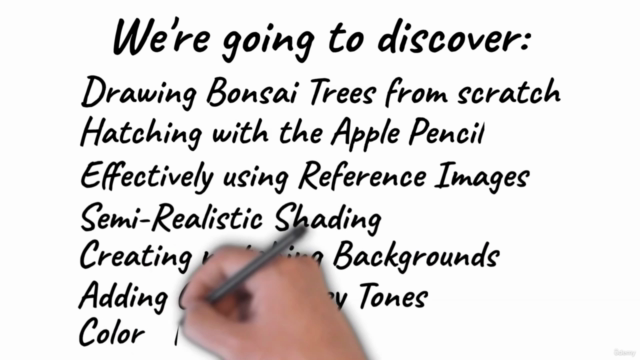 Drawing, Shading and Coloring Bonsai Trees in Procreate - Screenshot_03