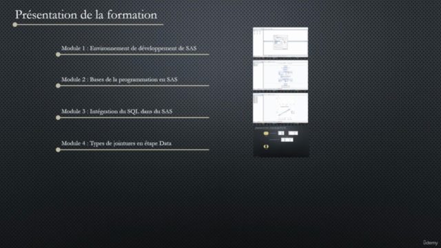 La Data Science avec SAS pour l'Entreprise - Screenshot_03