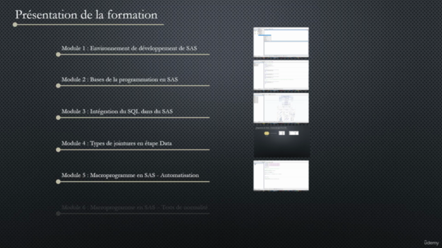 La Data Science avec SAS pour l'Entreprise - Screenshot_04