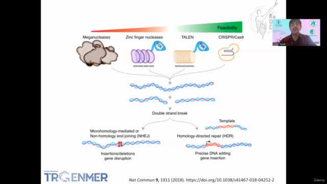 CRISPR genetic editing methods in target diseases - Screenshot_03