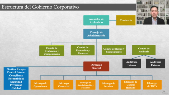 Gobierno Corporativo - Screenshot_03